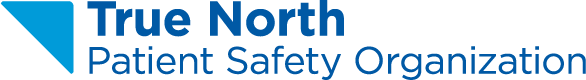 True North logo